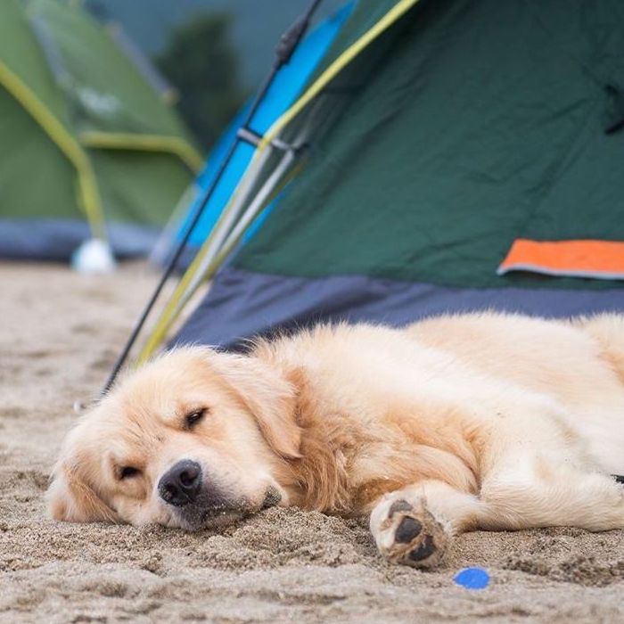 Beach camping