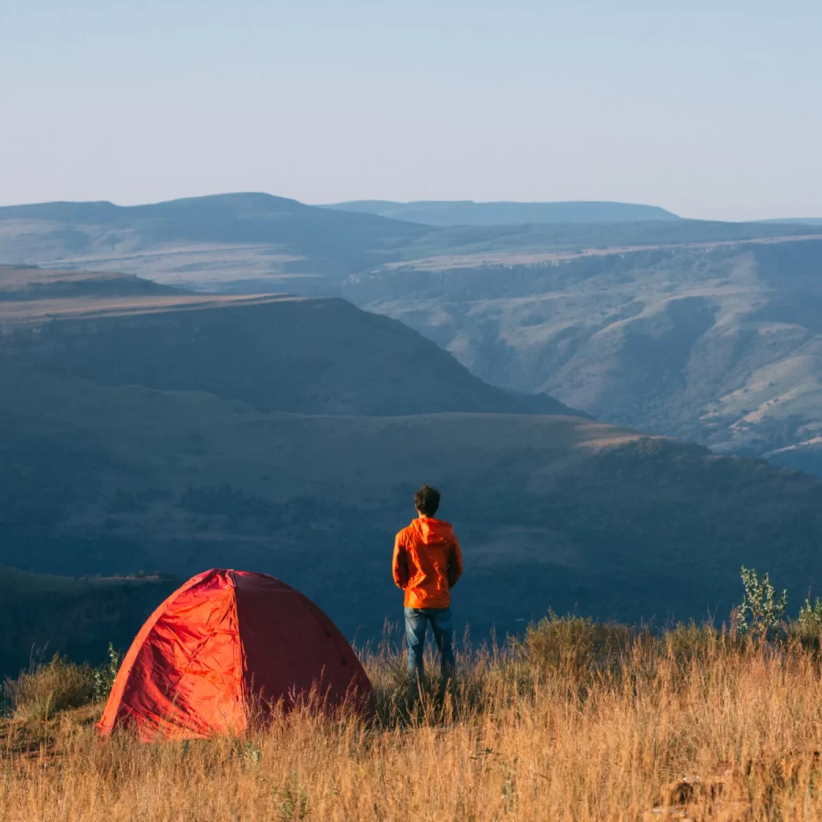 Unleashing the Wild: A Camping Trip to Remember