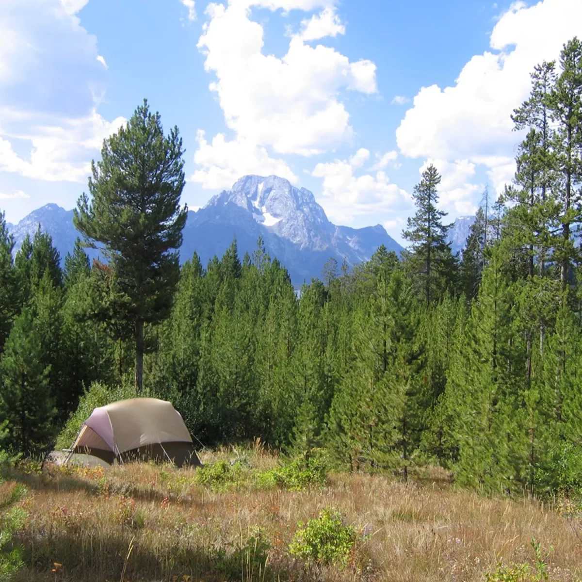 The Ultimate Guide to Choosing the Best Camping Grounds