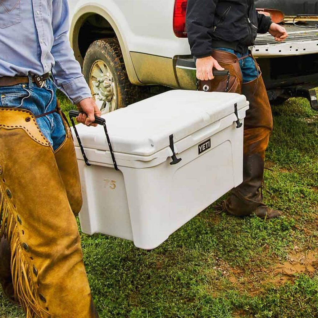 The Ultimate Guide to the Best Coolers for Camping