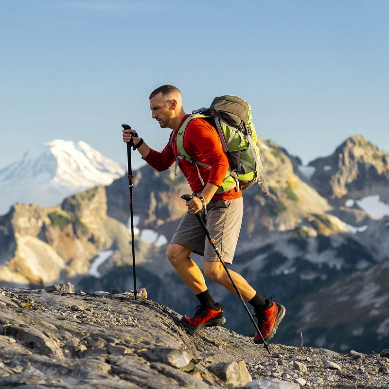 trekking pole