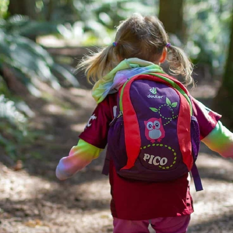 toddler hiking backpack